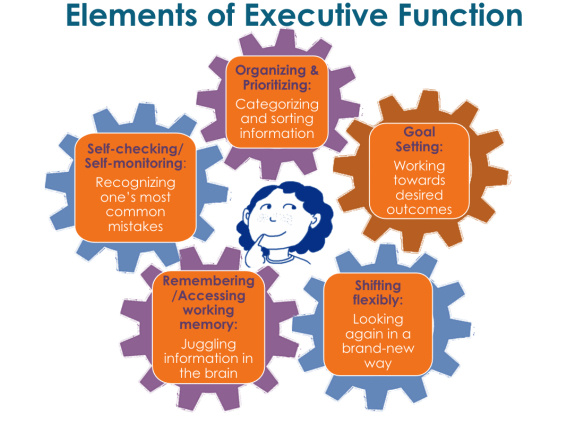 Elements of Executive Function